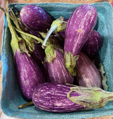 fairytale eggplant from the farmer's market