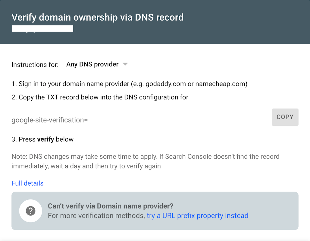choose verify DNS record